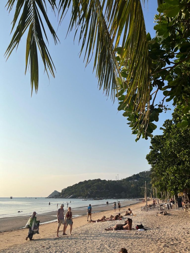 13abff8b-81bc-4073-a325-f41231898002