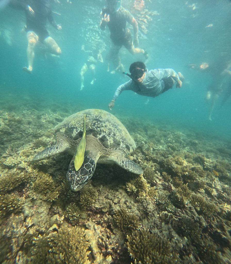 356213f0-93e2-4310-8c72-cef73bb5af08