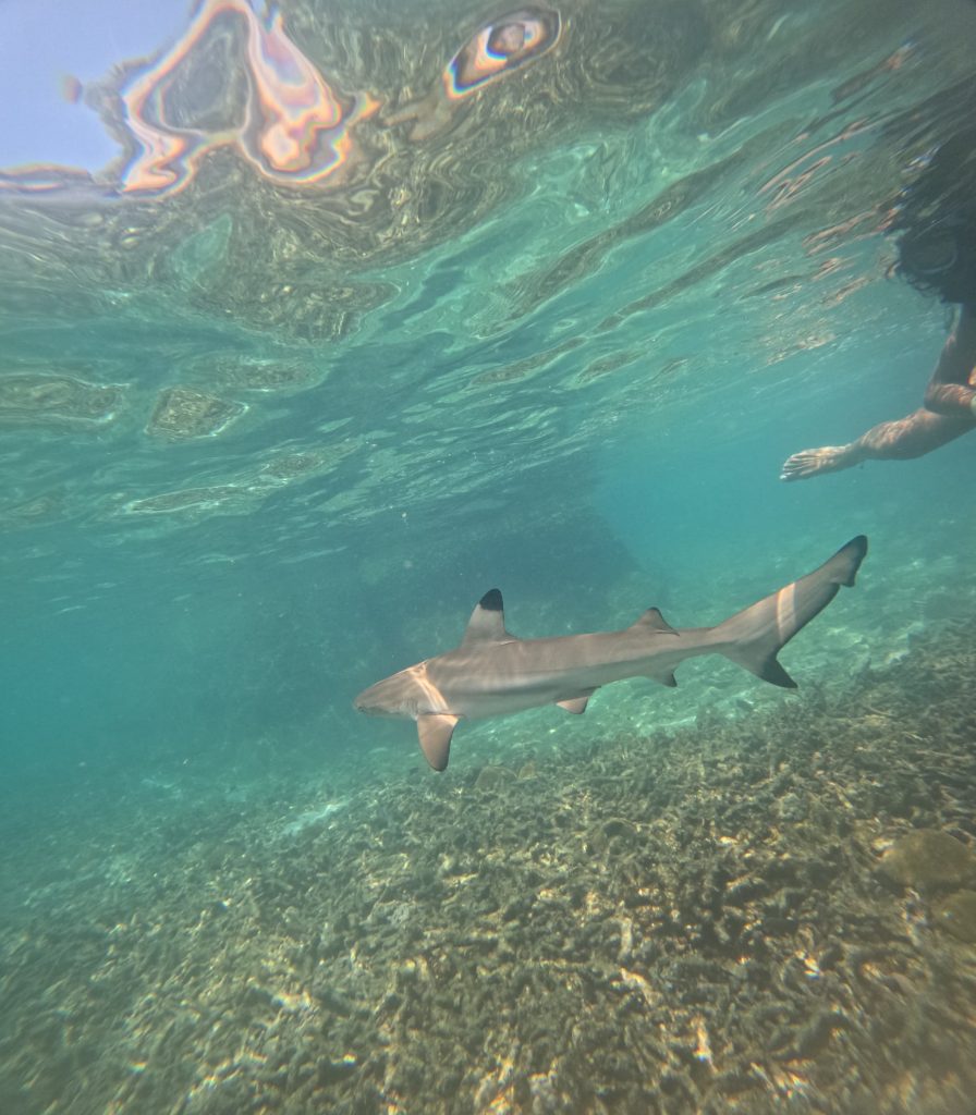 aa35eb77-8998-42e1-96da-8e2c632566ed