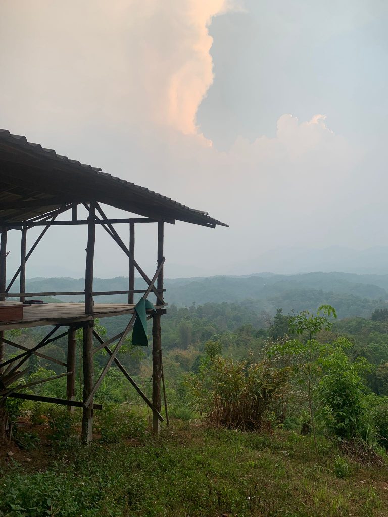 WhatsApp Image 2026-04-10 at 19.43.49