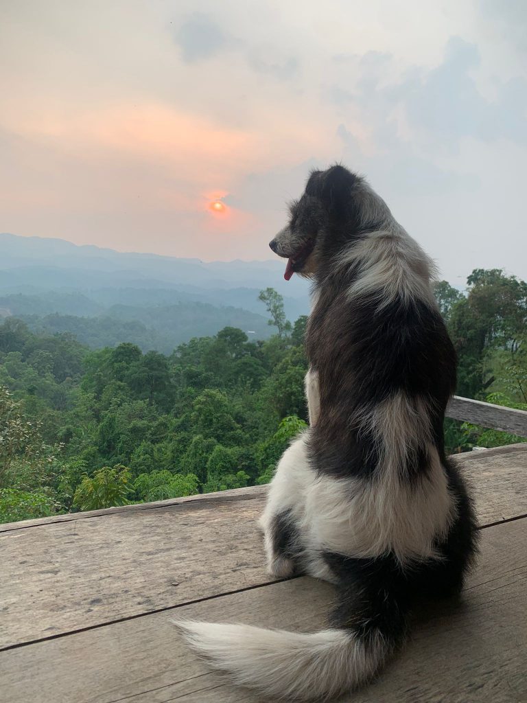 WhatsApp Image 2026-04-10 at 19.43.50